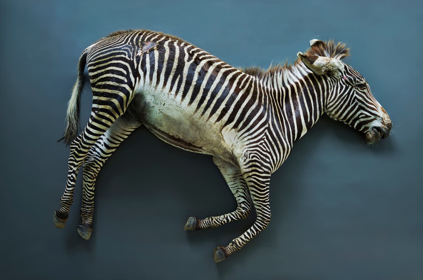 Art Basel: cosa troverete alla fiera artistica più importante al mondo