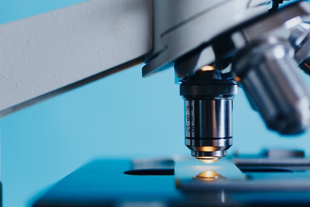 Le azioni della biotech sudcoreana Alteogen sono quadruplicate in 7 mesi: ora è l'azienda di maggior valore dell'indice Kosdaq