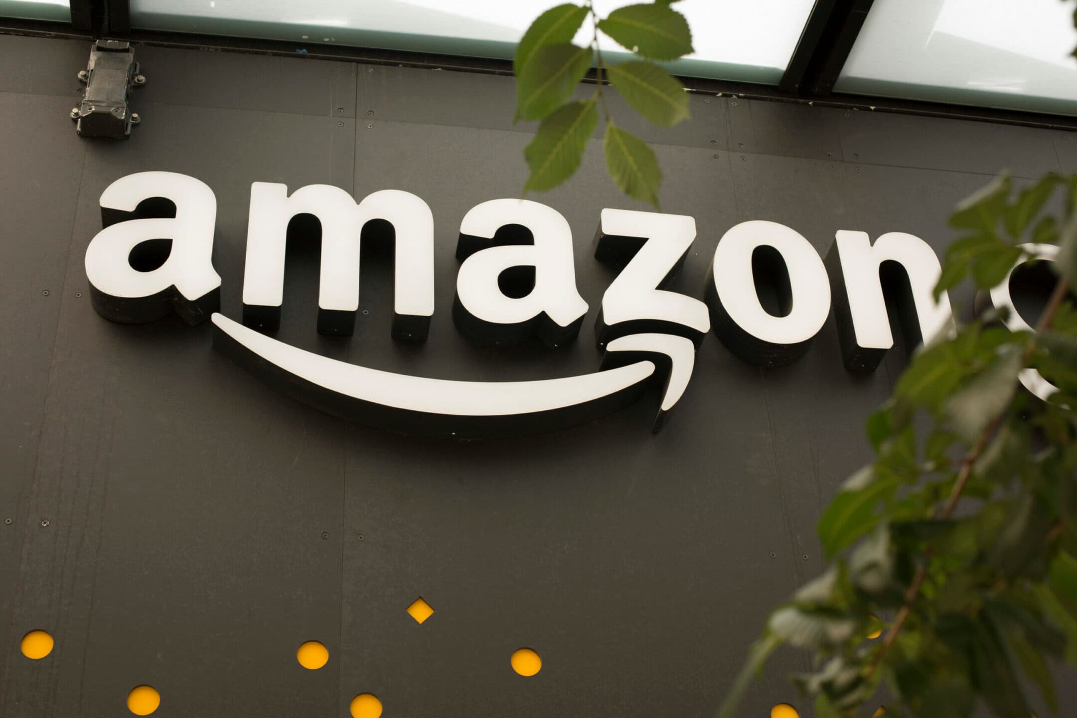 La trimestrale di Amazon: ricavi sopra le previsioni ma delude il cloud