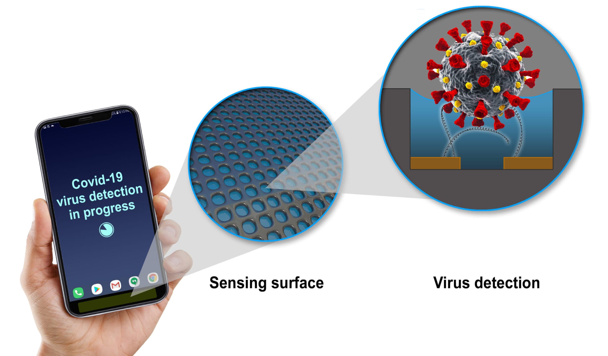 Un segugio anti-Covid nel telefono: un sensore General Electric potrebbe fiutare il coronavirus