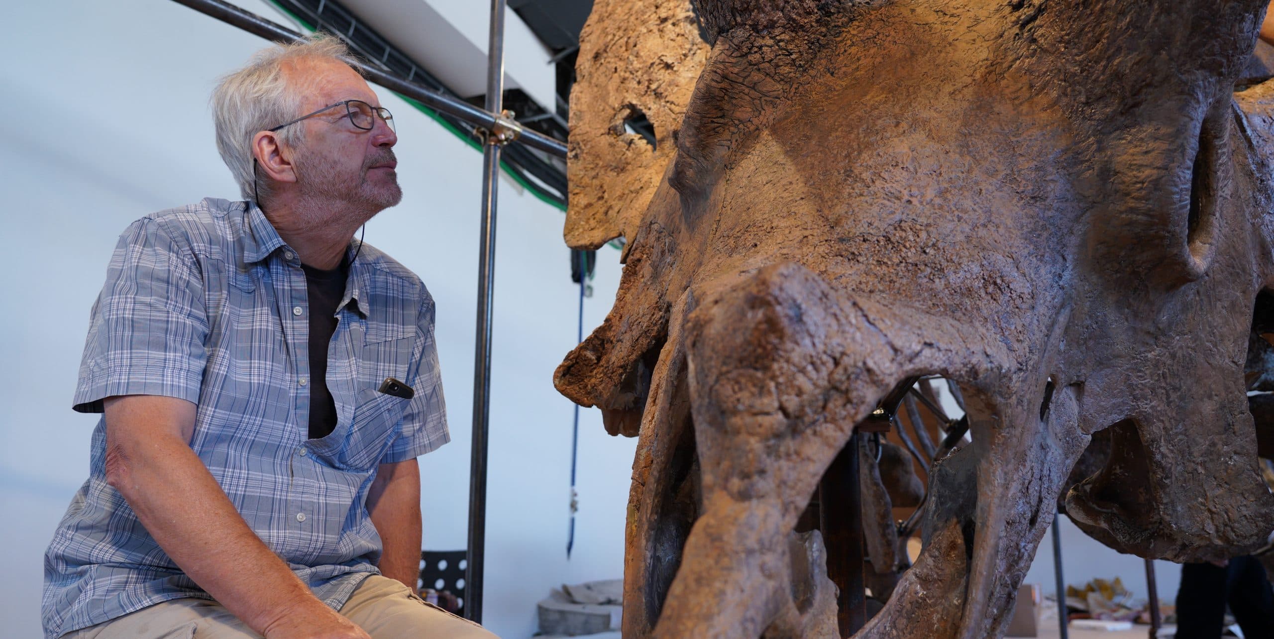Jurassic business: la società che lavora i fossili di dinosauri e li rivende in tutto il mondo a cifre milionarie