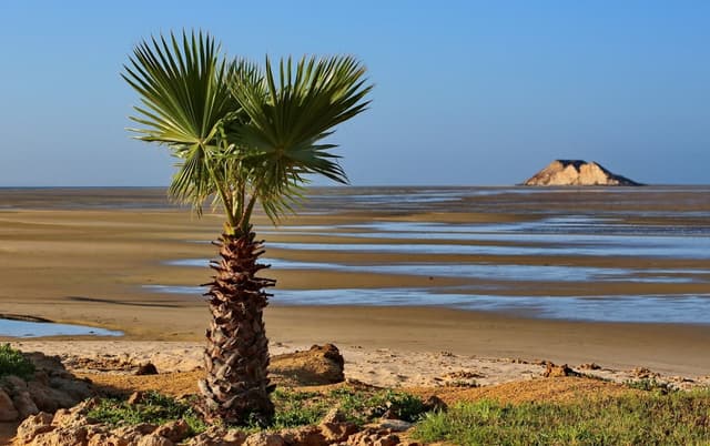 La grande scommessa di Dakhla, la città marocchina che sta investendo nel lusso