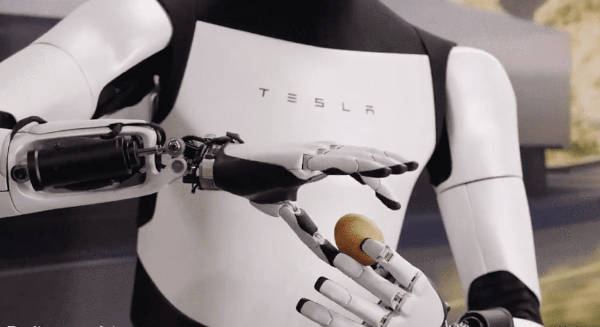 Fa gli squat e maneggia le uova: Elon Musk presenta il nuovo Optimus Gen 2 di Tesla