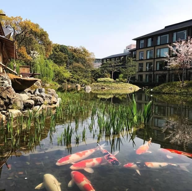 Da Kyoto e Nara passando per Osaka: 10 esperienze di lusso nelle città imperiali giapponesi