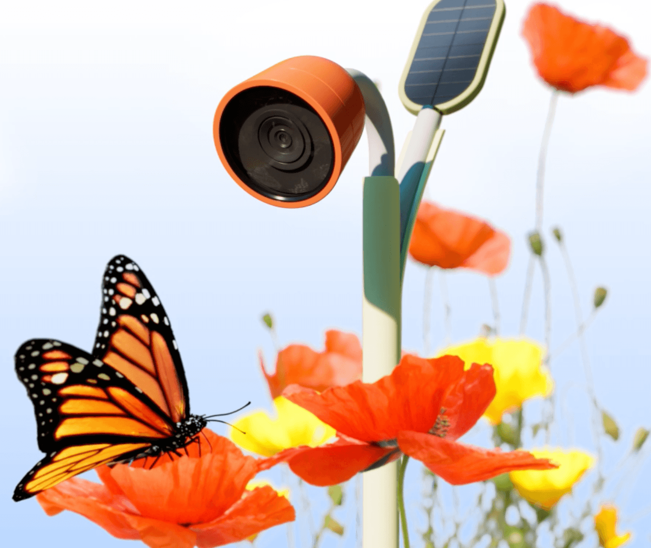 Dal pc arrotolabile al fiore-telecamera: le novità tech più curiose del Ces 2025