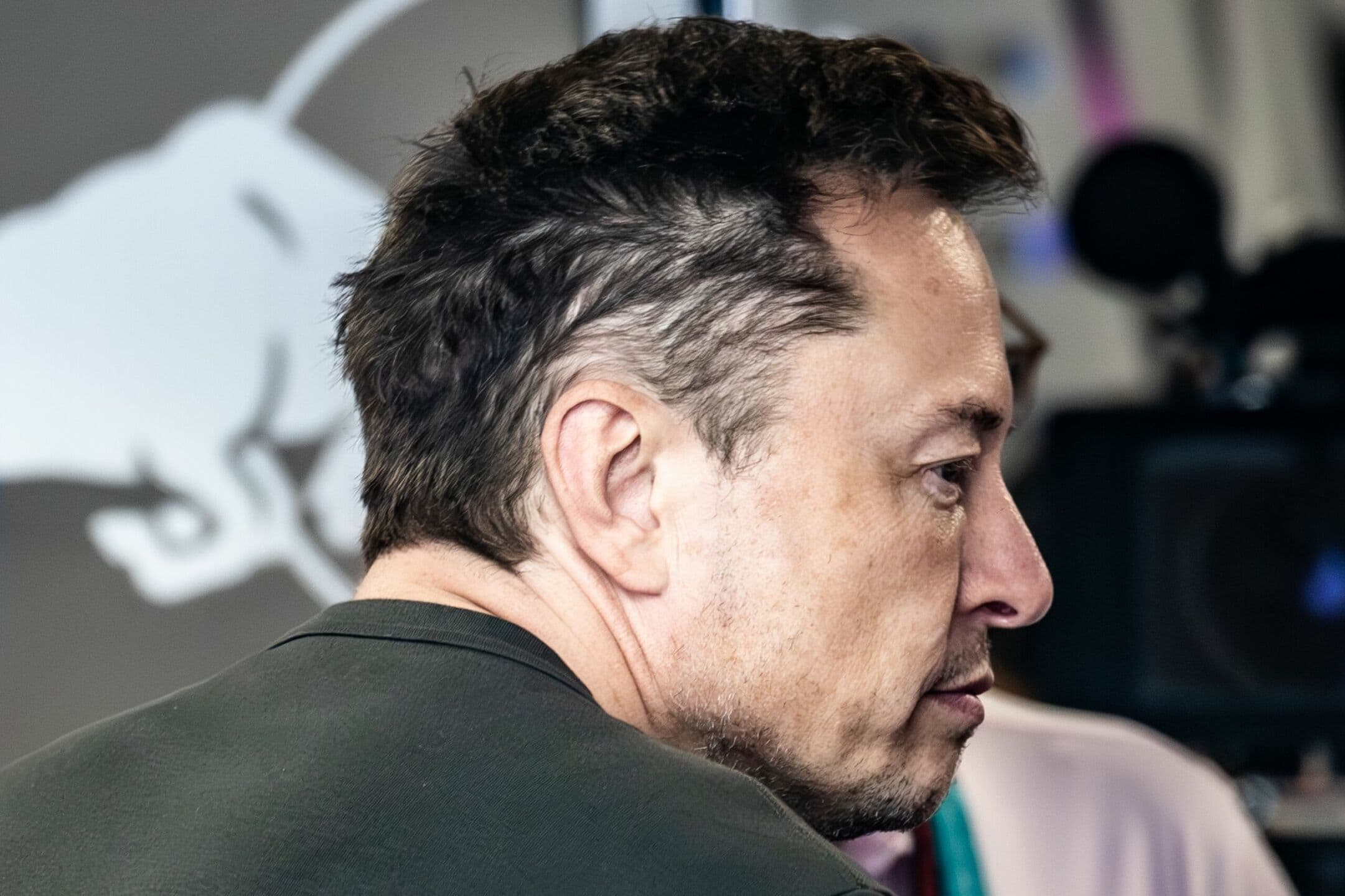 Tesla, previsto un calo degli utili dopo il crollo storico delle vendite