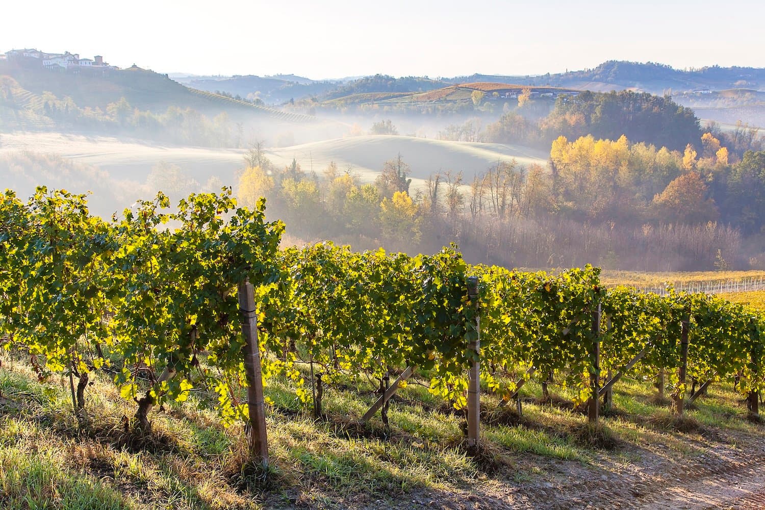 Boom del turismo enogastronomico in Italia: +176% nel 2024