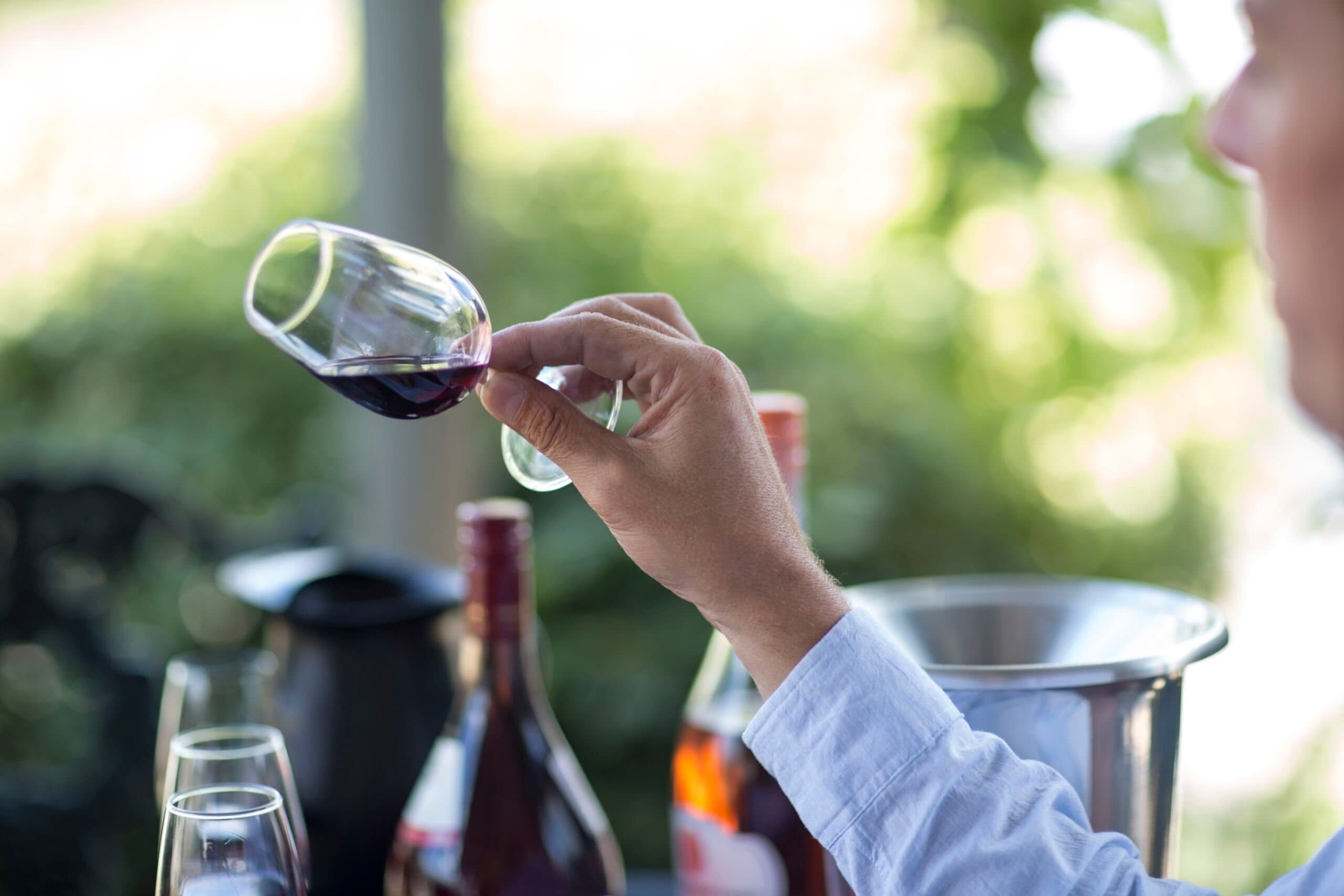 Vino pregiato oggi: tra produzione limitata, sostenibilità e identità strutturata