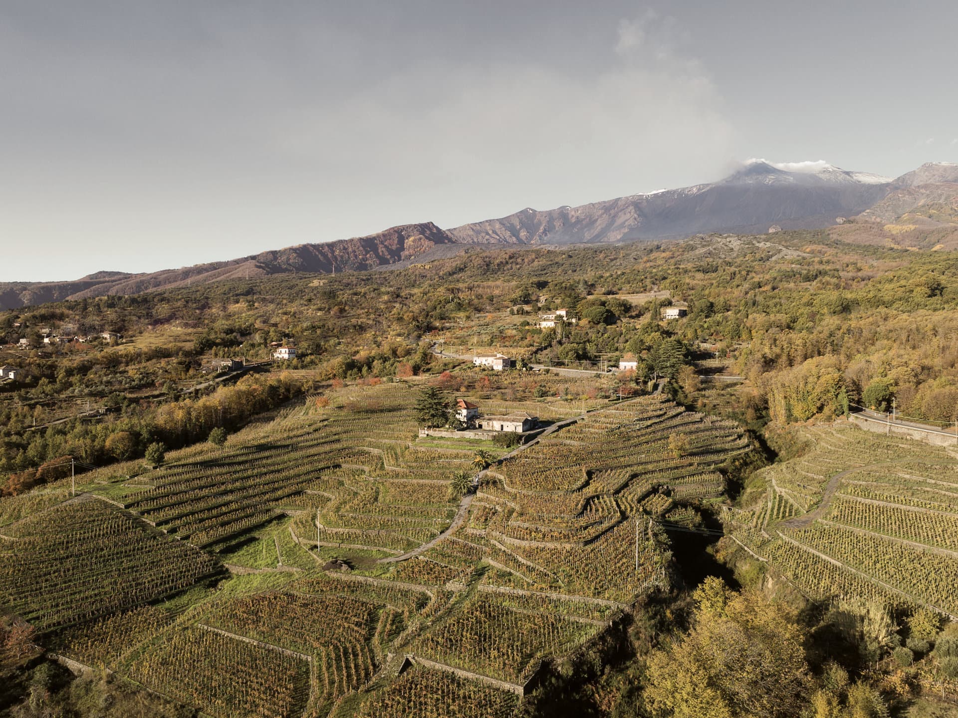 Life è la guida di Forbes dedicata al lifestyle. La redazione seleziona e racconta con fotografie spettacolari e storie le migliori tendenze del mondo del lusso, dal cibo al bere bene, fino ai viaggi.

Sul canale Life sarà possibile leggere le ultime notizie e alcuni approfondimenti sui migliori prodotti di alta gamma.